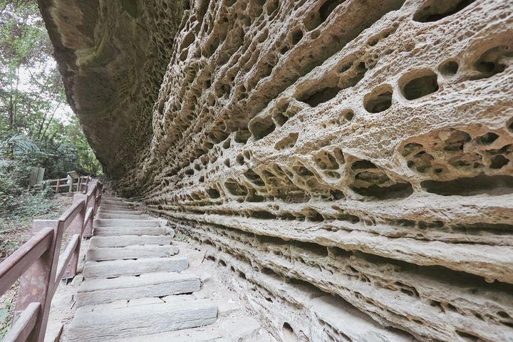 ▲青年嶺步道的峭立岩壁。　圖：嘉義縣文化觀光局／提供