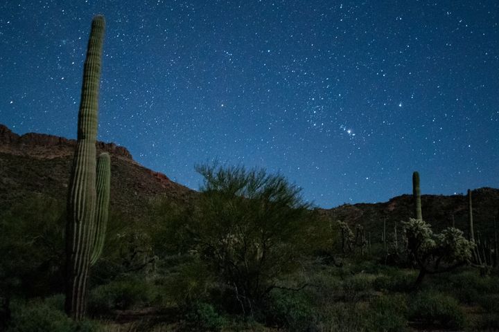 ▲「管風琴仙人掌國家紀念區」（Organ Pipe Cactus National Monument）近期獲認證為「國際暗空公園」。　圖：美國國家公園管理局／來源