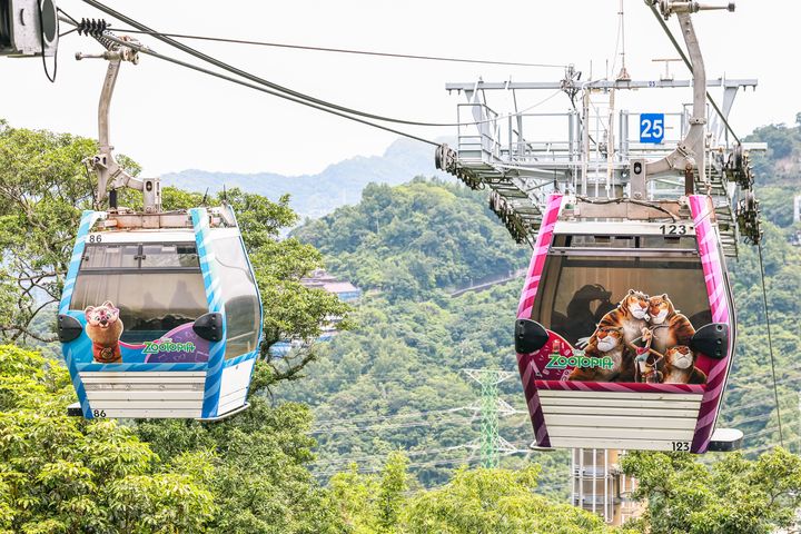 ▲「貓空纜車」全線百台車廂更換《動物方城市》主題新裝，共有8款設計。　圖：邁思娛樂股份有限公司／提供