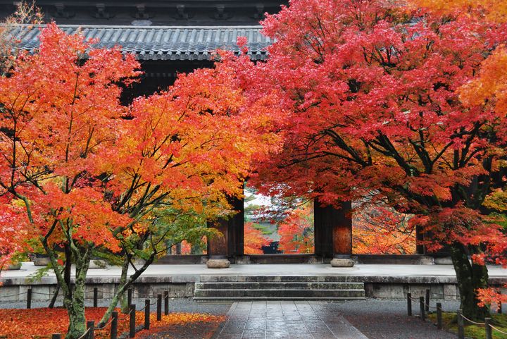 ▲旅客更在意的是走訪知名景點之餘，能否透過住宿有更優質的慢旅體驗；圖為台灣旅客鍾愛的京都南禪寺。　圖：太平洋旅行社／提供