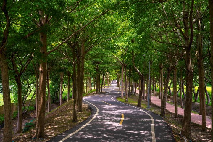 ▲「潭雅神綠園道」途經多段S型彎道－兩旁濃密植栽-綠樹成蔭。　圖：臺中市政府觀光旅遊局／提供