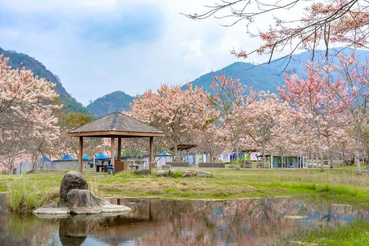 ▲「寶來花賞溫泉公園」美麗景色。　圖：高雄市政府觀光局／提供