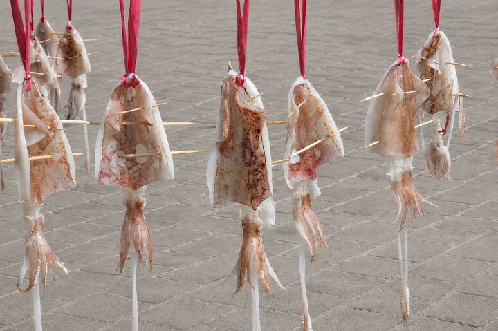 ▲小卷一夜干體驗活動，推廣食魚教育與在地漁產特色。　圖：新北市政府漁業及漁港事業管理處／提供