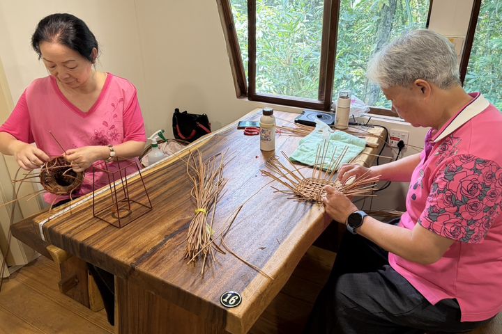 ▲以芒萁編織，可製作籃子、魚筌等傳統漁撈器具。　圖：財團法人張連桂傳藝文化基金會／提供