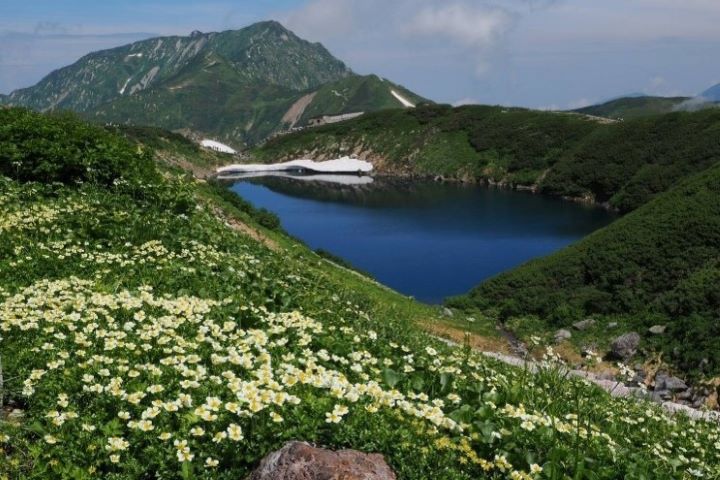 日本第一避暑勝地！立山黑部夏季絕景