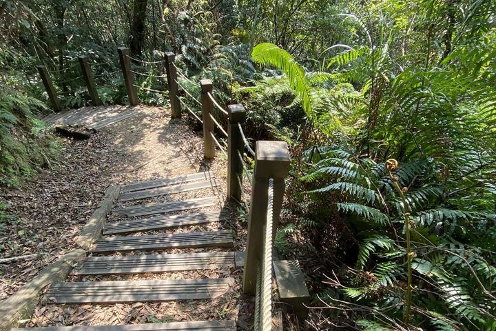 09/05土庫岳舉辦「離線地圖實作｜學會定位，安心走進山林」為主題，教您解鎖離線地圖定位技巧。　圖：新北市政府觀光旅遊局／提供