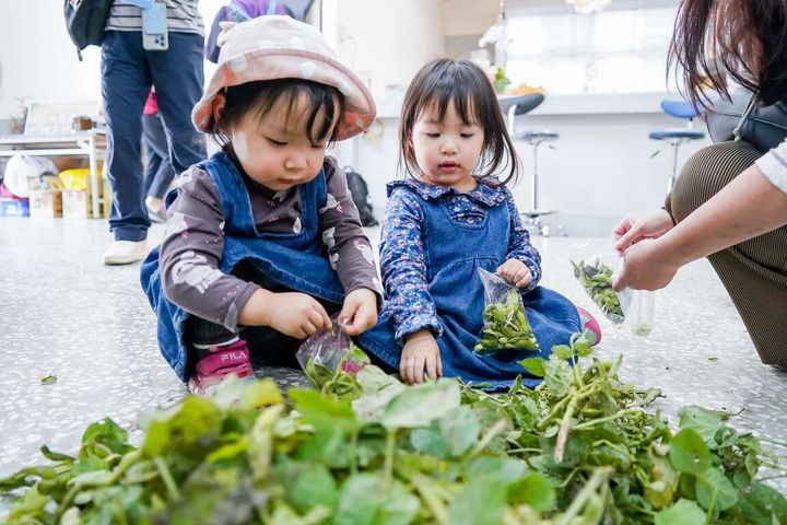 梓平社區－剝毛豆。　圖：高雄市政府觀光局／提