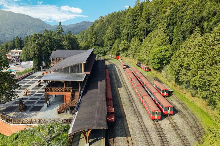 阿里山國家森林遊樂園區，以經典森林火車、日出、雲海等五奇曾榮獲《紐約時報》評選為全球必訪景點之一；2026年再度榮登「嘉義前十大人氣景點」第一名。　圖：阿里山賓館／提供