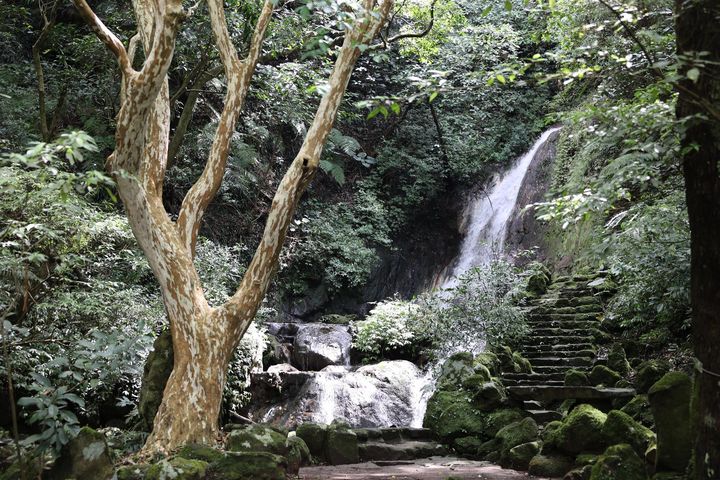陽明公園「小隱潭瀑布」景致幽靜。　圖：臺北市政府工務局公園路燈工程管理處／來源