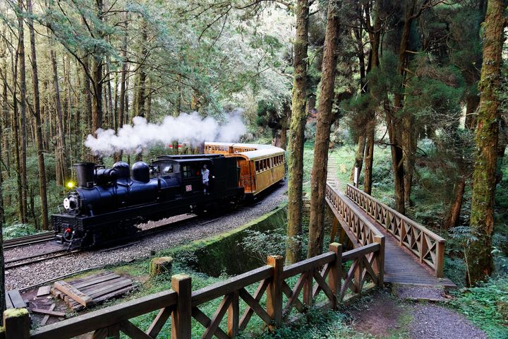 ▲上阿里山搭小火車，可體驗著名的窄軌登山鐵路，還可欣賞熱帶至溫帶多種林相變化。　圖：shutterstock／來源