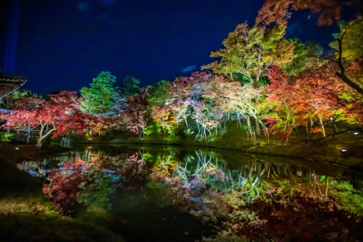 ▲「高台寺」的賞楓期間的夜間光雕。　圖：Photo AC／來源
