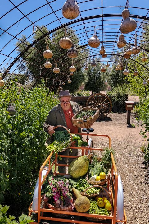 ▲亞利桑那州「圖森」（Tucson）「教會花園農業博物館」（Mission Garden），現已列入美國國家史蹟名錄。　圖：Visit Tucson／來源