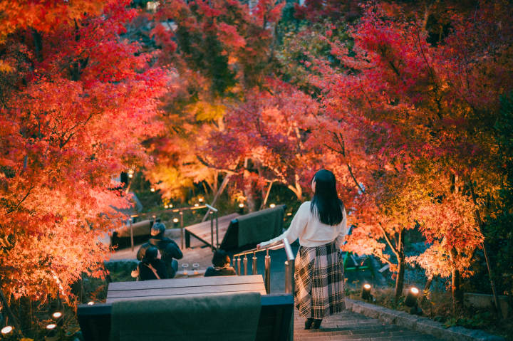 ▲「長門湯本溫泉」的紅葉階梯。　圖：向日遊／提供