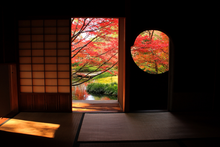 ▲在「芳松庵」休息體驗充滿禪意的紅葉庭園。　圖：山口縣觀光聯盟／提供