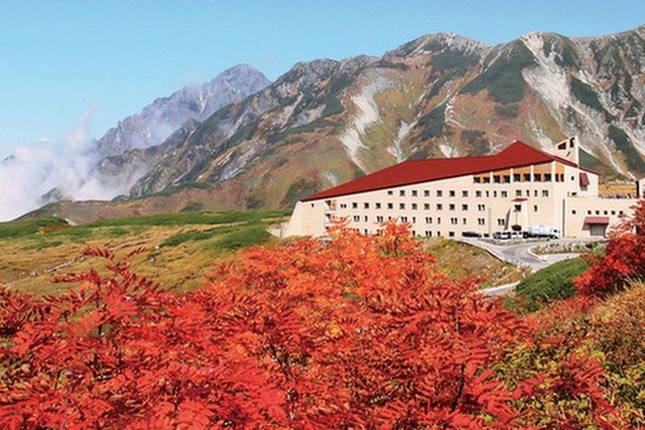 秋季楓紅隨著緯度爬升而呈現漸層之景。　圖：立山黑部／提供