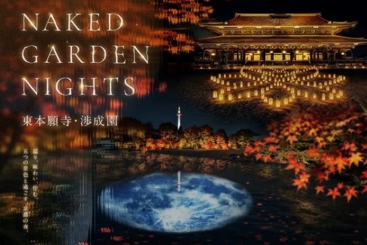 「NAKED GARDEN NIGHTS 東本願寺・涉成園」展覽融合歷史、庭園與現代光影藝術。　圖：JTBコミュニケーションデザイン／提供