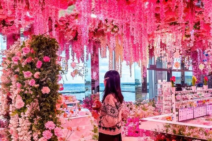 ▲濟州島網紅景點之一「花漫星球牧場咖啡館」。　圖：東南旅遊／提供