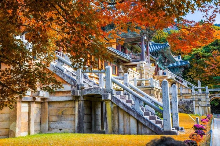 ▲位於慶尚北道慶州市的「佛國寺」，除了是世界遺產更是賞楓勝地之一。　圖：東南旅遊／提供