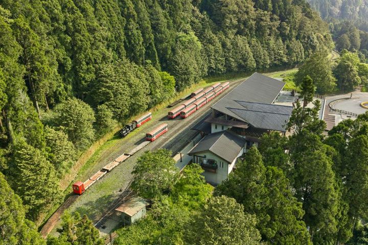 清晨搭「祝山觀日列車」看日出，漫步阿里山車站及商店街，再搭阿里山林鐵返回嘉義，轉乘台鐵至高雄展開「港都文化藝術殿堂之旅」。　圖：阿里山賓館／提供