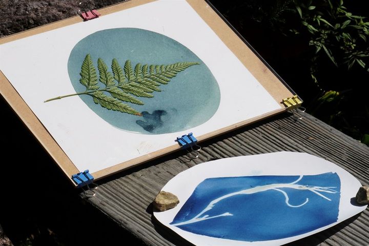 ▲痕跡・顯影：藍曬工作坊。　圖：花東縱谷國家風景區管理處／提供