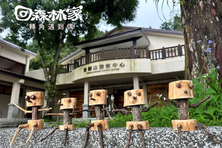 ▲「回森林家」小木偶植栽。　圖：林業保育署新竹分署／提供