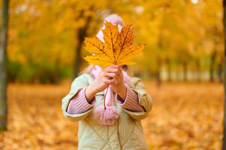 ▲秋日專屬的邀請函，待你踏上美好旅程。　圖：shutterstock／來源