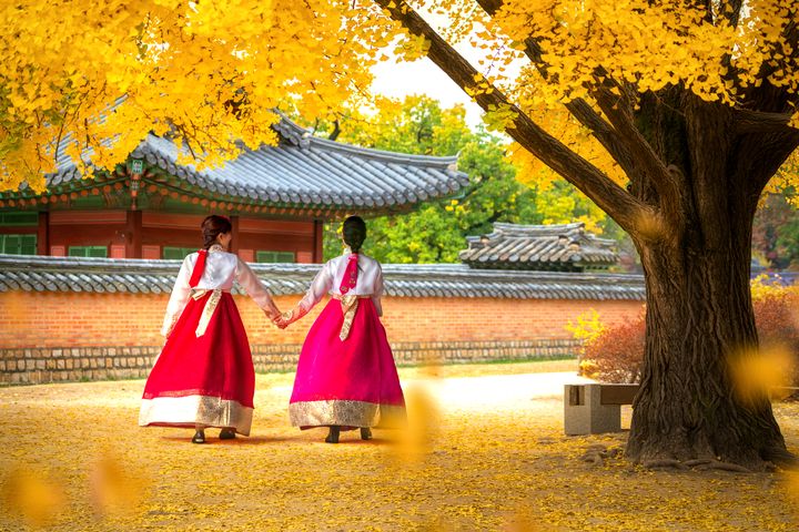 ▲換上韓服漫步宮廷庭院，滿園銀杏點亮秋日首爾。　圖：shutterstock／來源