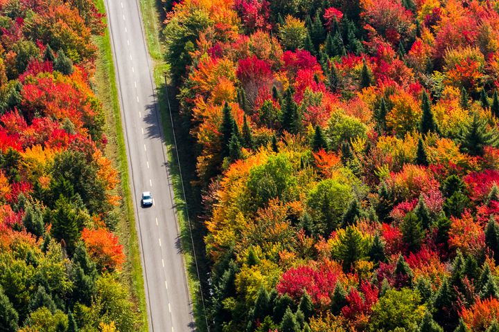 秋日自駕上路，穿梭楓紅山林，沿途皆是值得停留的美好景色。　圖：shutterstock／來源