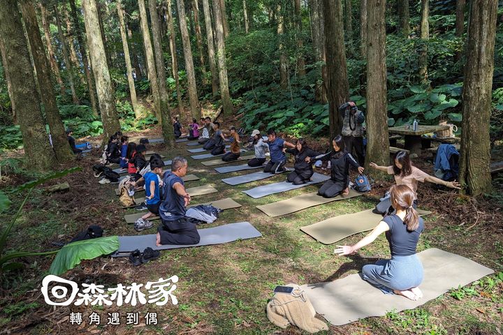 ▲「回森林家」之「癒見森林－林間瑜珈」。　圖：林業保育署新竹分署／提供