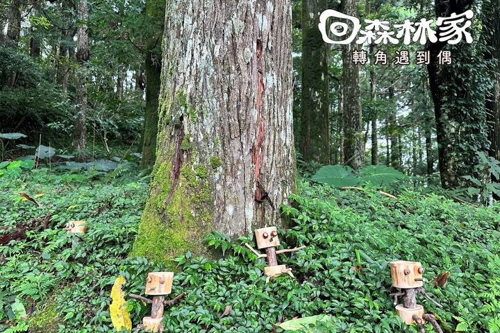 「回森林家」小木偶植栽。　圖：林業保育署新竹分署／提供 