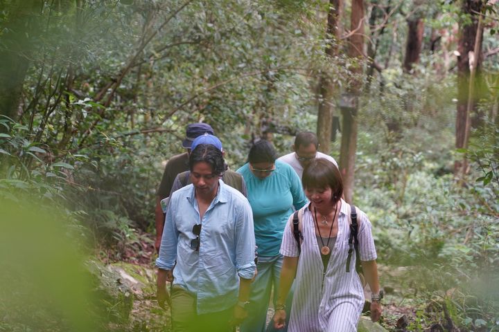 ▲走入谷關山林深呼吸，感受森林療癒魅力。　圖：參山國家風景區管理處／提供