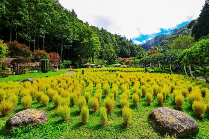 《Checking In! Central Taiwan》旅遊書勇奪PATA金獎 抽限量夢幻旅宿與觀光列車套票
