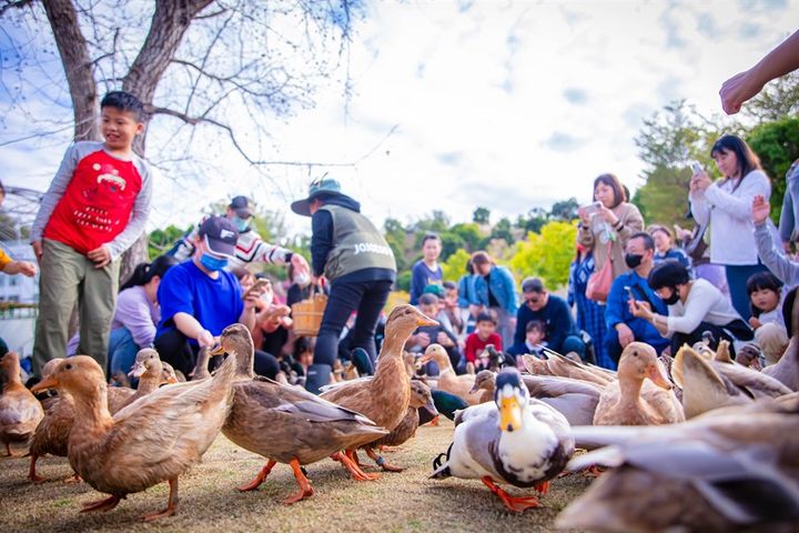 「九九峰動物樂園」歡慶週年，邀請一起來同樂。　圖：交通部觀光署／提供 