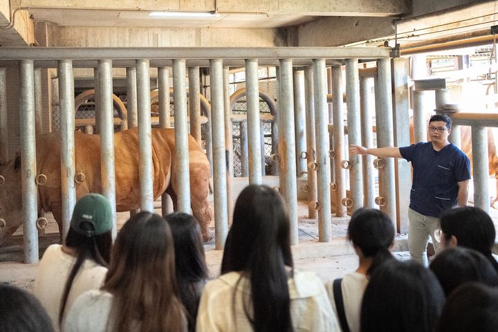 六福村動物專業團隊帶領學生走進犀牛獸舍，介紹大型草食動物的日常照養與健康觀察。　圖：關西六福莊／提供