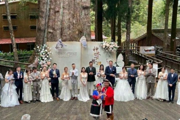 2026「阿里山神木下婚禮」10/16-10/17浪漫登場，鄒族婚禮體驗與香林神木證婚兩大特色儀式。　圖：阿里山賓館／提供