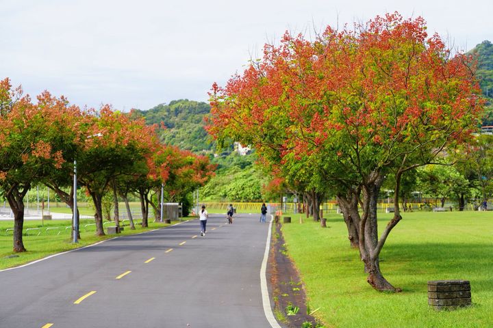 ▲不趕路的秋日時光，在樹林「山佳河濱公園」騎車、慢跑、散步都剛剛好。　圖：新北市政府水利局／提供