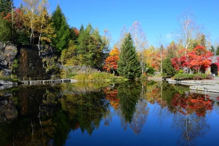 北海道札幌「瀧野鈴蘭丘陵公園」飽覽秋季限定美景