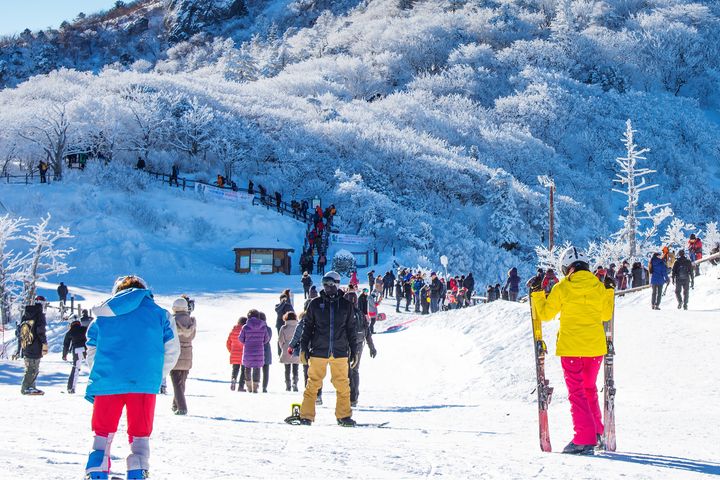 ▲韓國「德裕山度假村滑雪場」（Muju Deogyusan Resort）是韓國南部最具規模且擁有全韓國最長滑雪道的著名滑雪勝地。　圖：shutterstock／來源